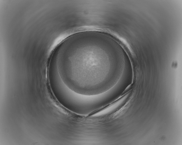 X0000091461365200709061747