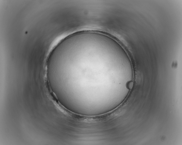 X0000091461366200709061747