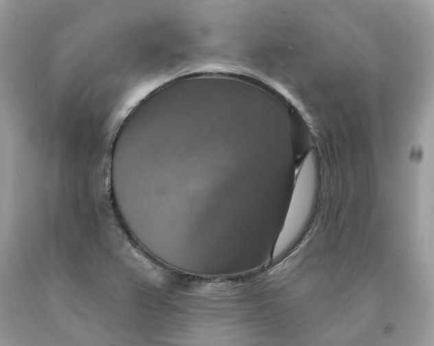 X0000091461367200709061747