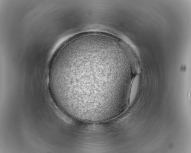 X0000091461368200709061747