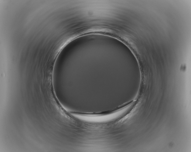 X0000091461369200709061747