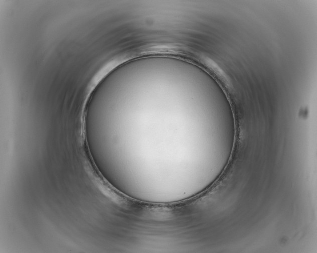 X0000091461370200709061747