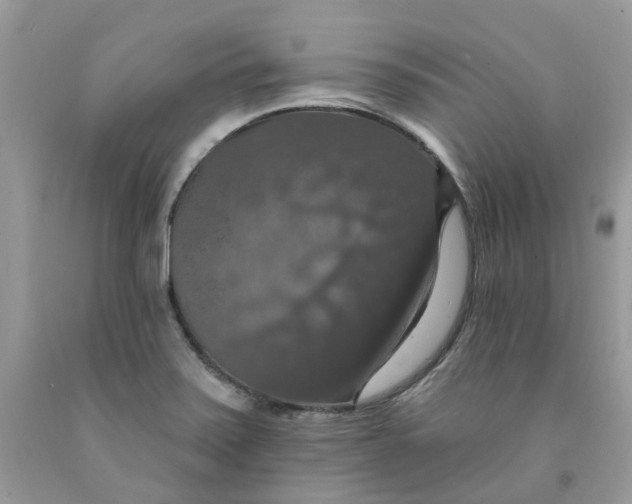 X0000091461371200709061747