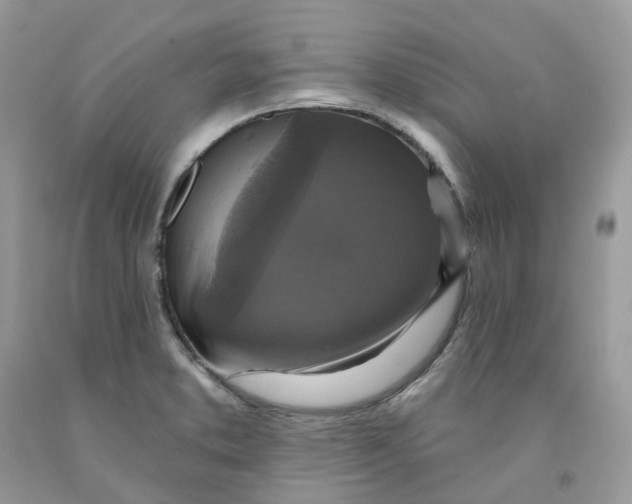 X0000091461373200709061747