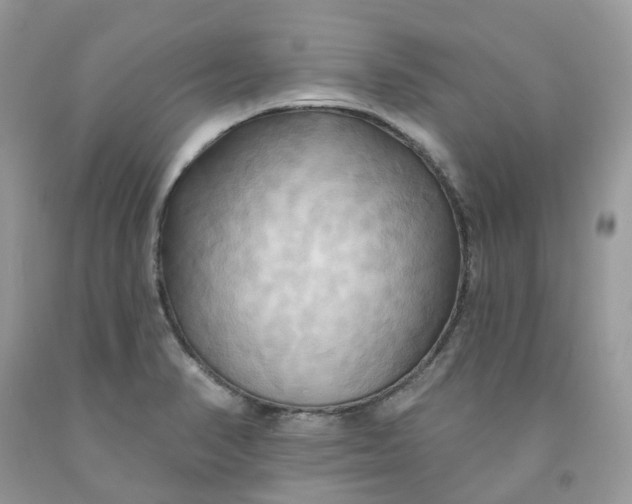 X0000091461374200709061747