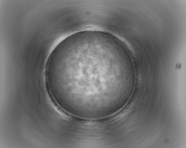 X0000091461375200709061747