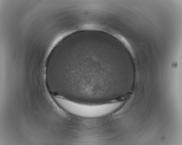 X0000091461376200709061747