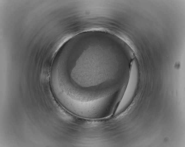 X0000091461377200709061747