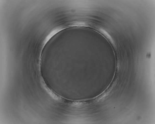 X0000091461378200709061747