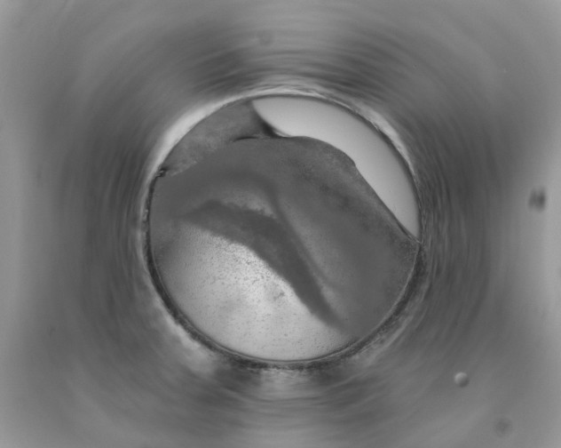 X0000091461379200709061747