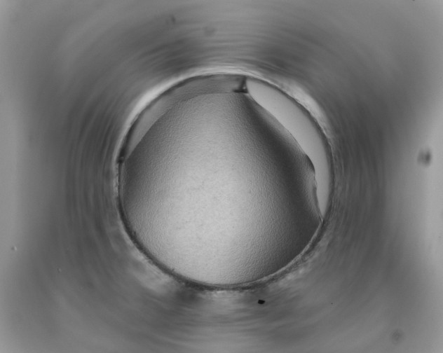 X0000091461380200709061747