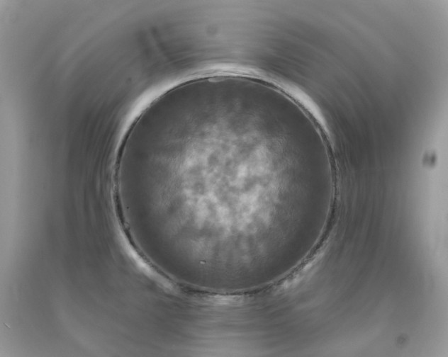 X0000091461381200709061747