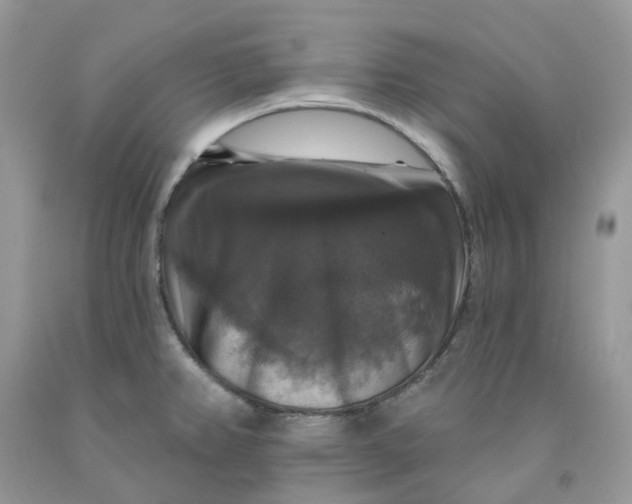 X0000091461382200709061747