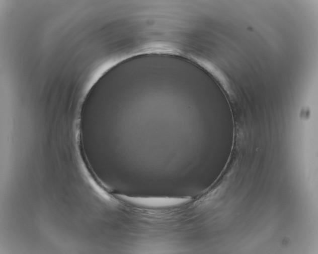 X0000091461383200709061747