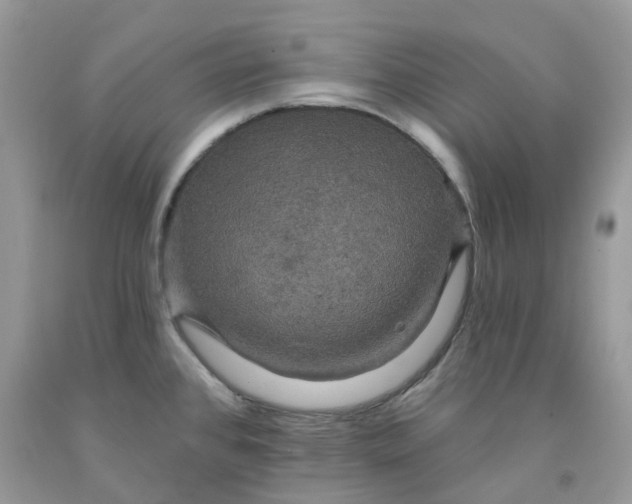 X0000091461384200709061747