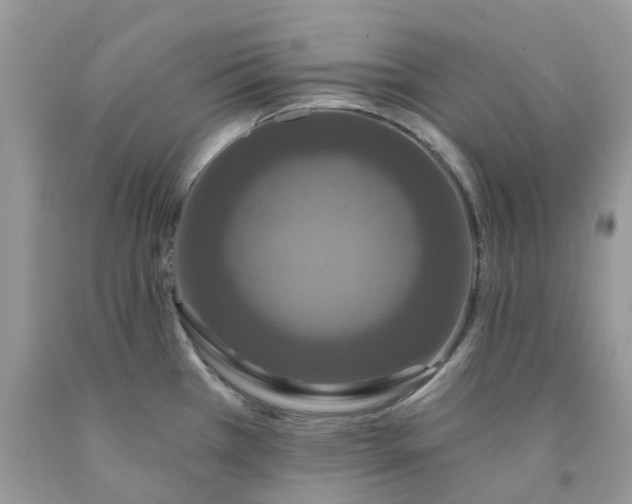 X0000091461385200709061747