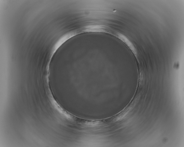 X0000091461386200709061747