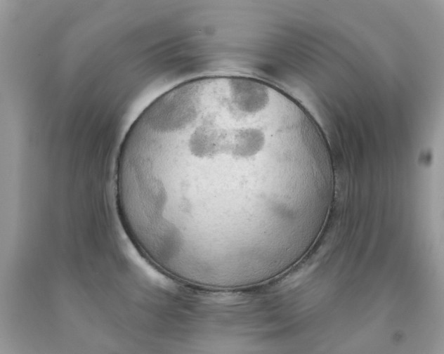 X0000091461387200709061747