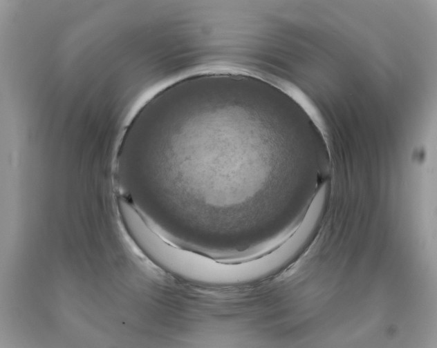 X0000091461388200709061747