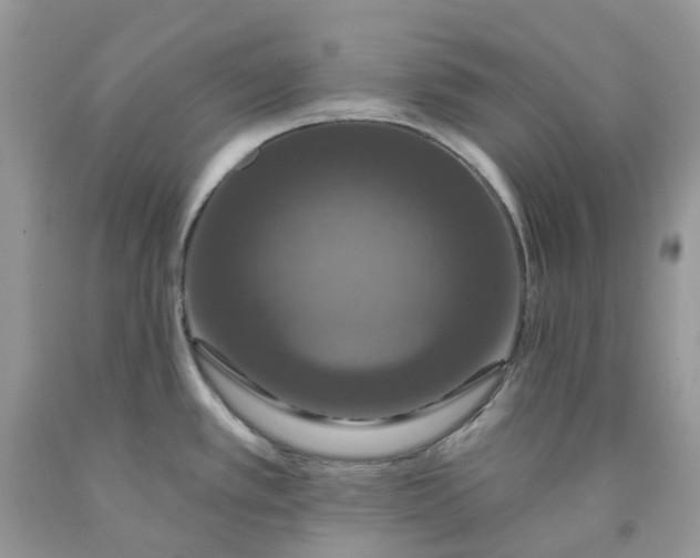 X0000091461389200709061747