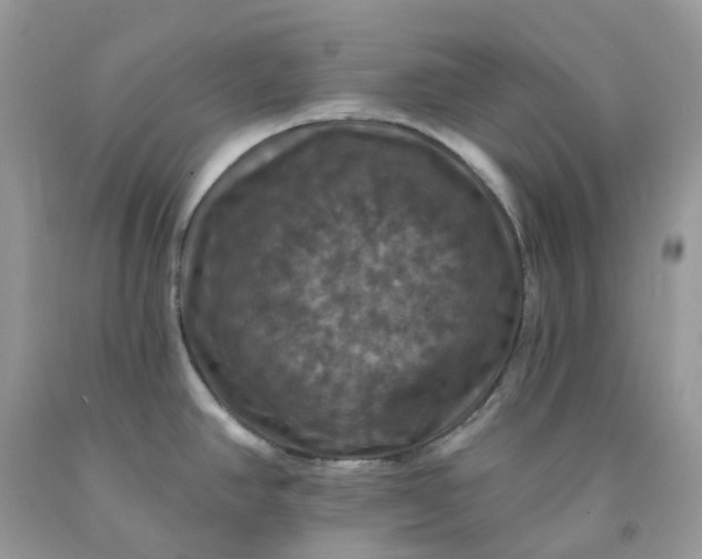 X0000091461390200709061747