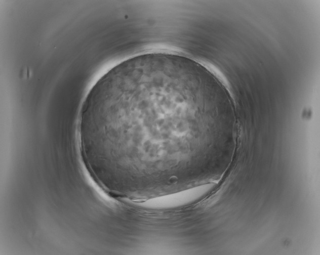 X0000091461391200709061747