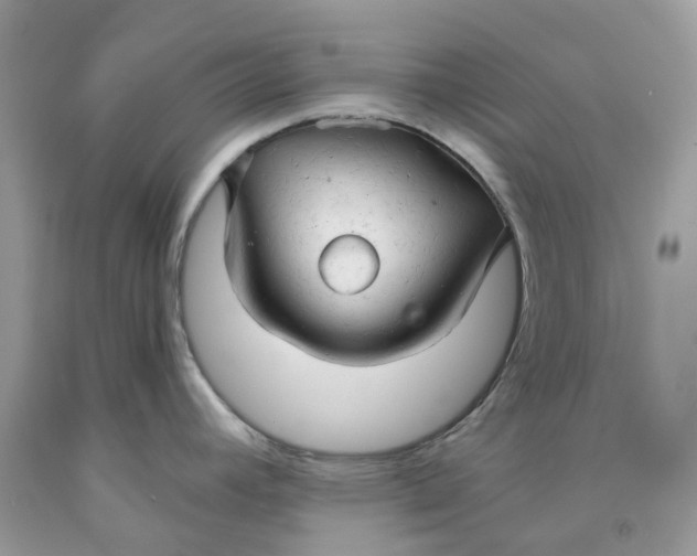 X0000091461392200709061747