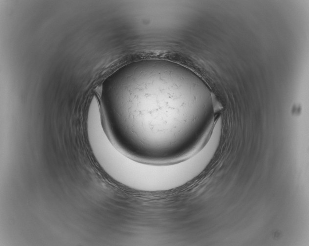 X0000091461394200709061746