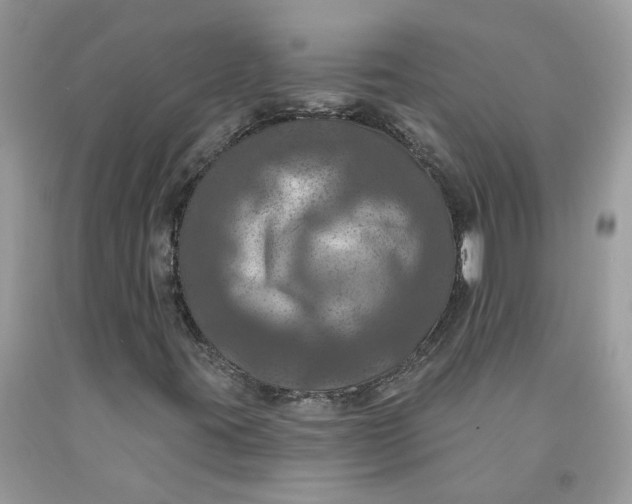 X0000091461395200709061746