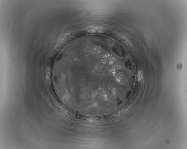 X0000091461396200709061746