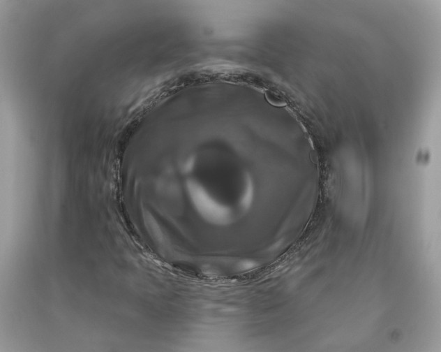 X0000091461397200709061746