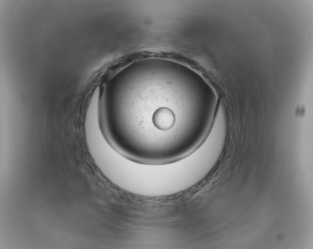 X0000091461398200709061746