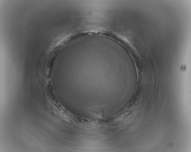 X0000091461399200709061746