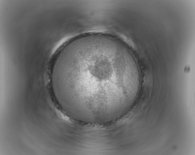 X0000091461400200709061746
