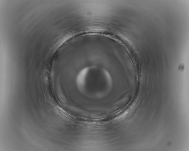 X0000091461401200709061746