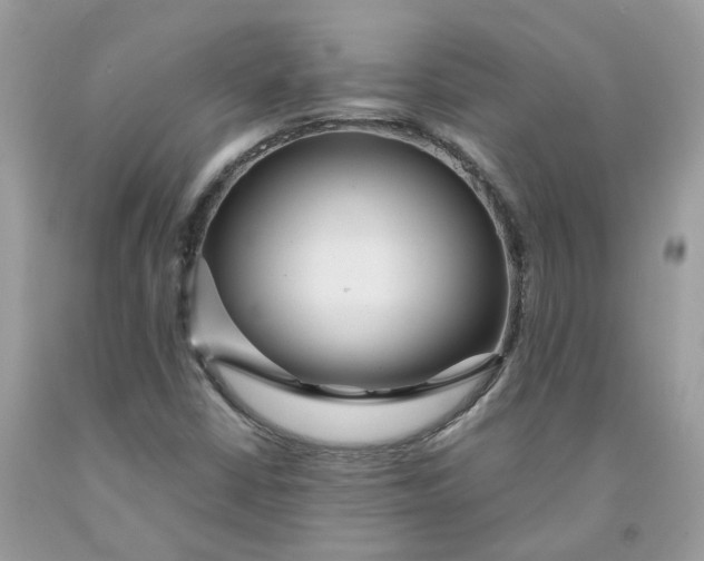 X0000091461402200709061746