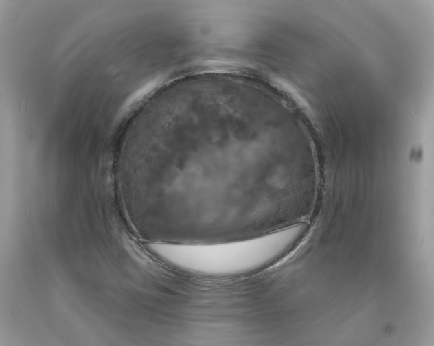 X0000091461403200709061746