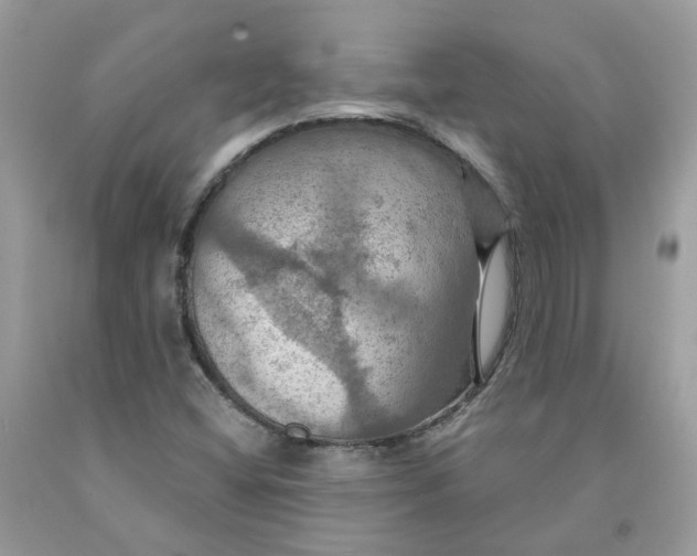 X0000091461404200709061746
