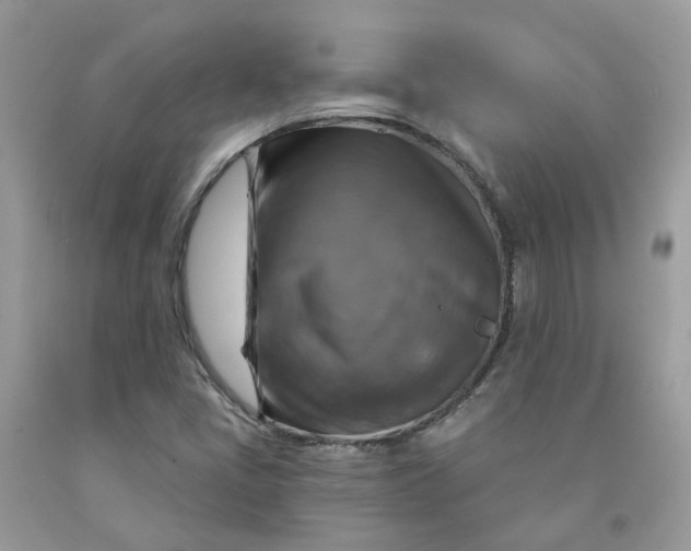 X0000091461405200709061746