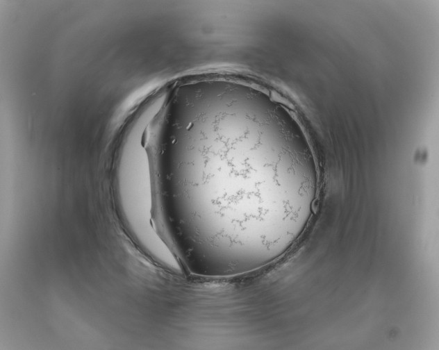 X0000091461406200709061746