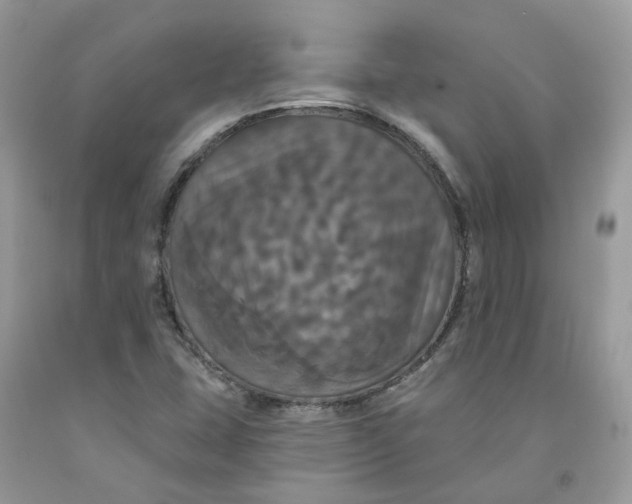 X0000091461407200709061746