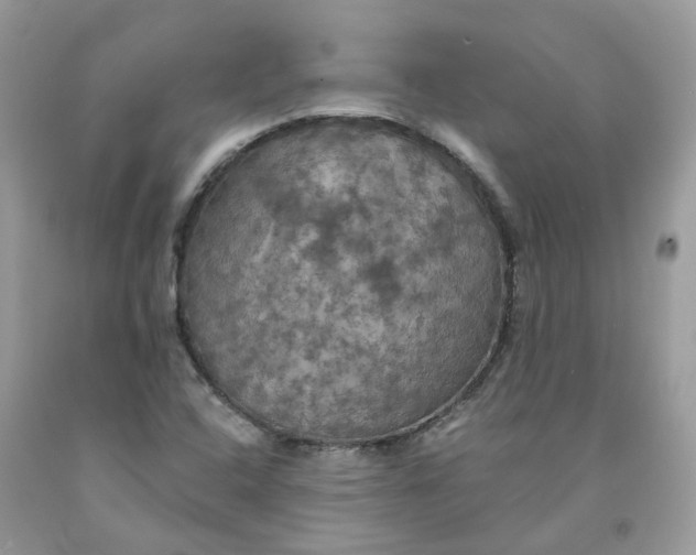 X0000091461408200709061746