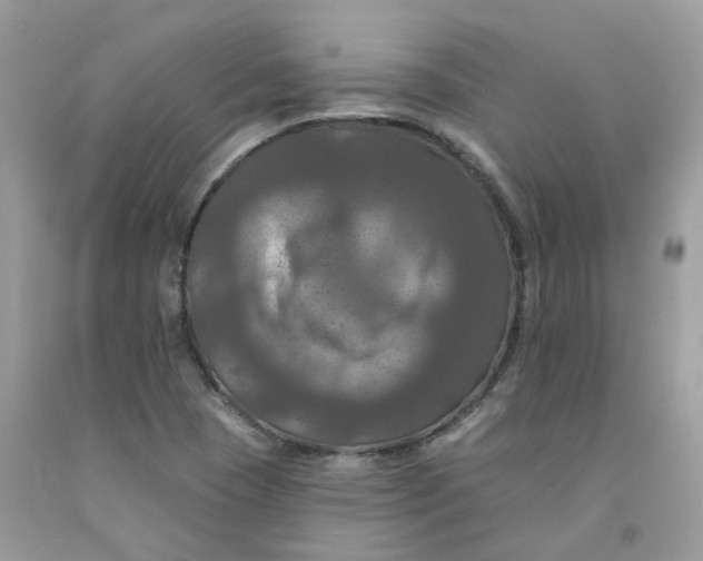 X0000091461409200709061746