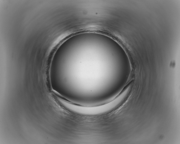 X0000091461410200709061746