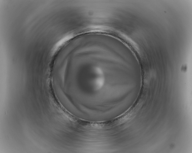 X0000091461411200709061746