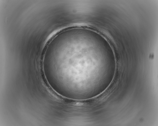 X0000091461412200709061746