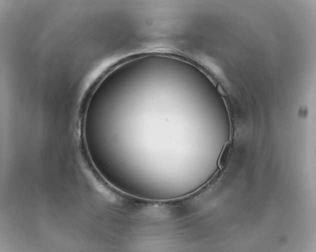 X0000091461414200709061746