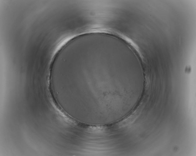 X0000091461415200709061747