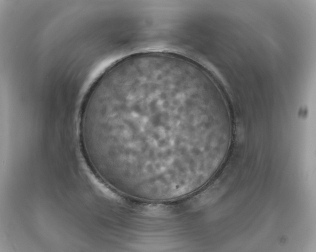 X0000091461416200709061747