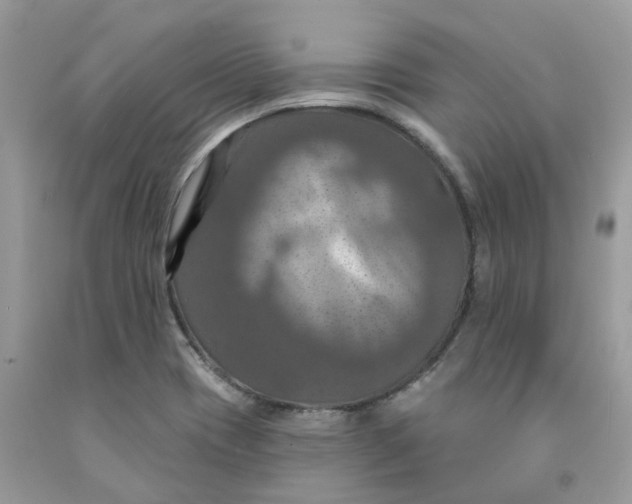 X0000091461417200709061747